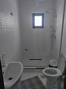 a bathroom with a toilet and a sink and a shower at Pensiunea Tincu in Satu Şugatag