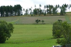 un gran campo verde con árboles a lo lejos en Zum Wiesengrund Blecher en Breidenbach