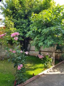 a garden with pink flowers and trees at Nikoli - Nesebar Traditional House in Nesebar