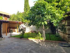 einen Garten mit einem Baum und einer Steinmauer in der Unterkunft Nikoli - Nesebar Traditional House in Nessebar