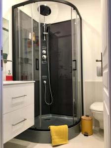 a shower with a glass door in a bathroom at Grand appartement exceptionnel Centre-ville in Dieulefit