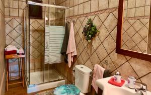 a bathroom with a shower and a toilet and a sink at Nature Finca Apartment - Pure Relaxation in Mazo