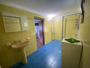 La salle de bains est pourvue d'un lavabo, de toilettes et d'un miroir. dans l'établissement Casa Aura, à Băile Herculane