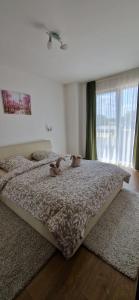 - un lit avec deux ours en peluche dans une chambre dans l'établissement Sahara Sands LOFT Private Parking, à Timişoara