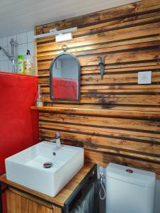 a bathroom with a sink and a toilet at Chambre d'hôtes Chalet AILLEURS in Molines-en-Queyras