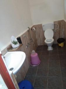 a bathroom with a toilet and a sink at Havelock Farms Resort in Havelock Island