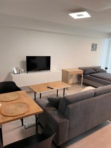 sala de estar con sofá y TV de pantalla plana en Studio Wohnung Küche,Bad,inklusive Stellplatz im Zentrum RV, en Ravensburg