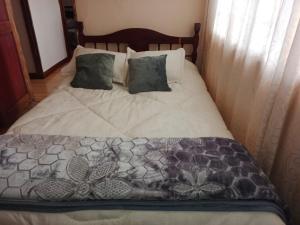 uma cama com um edredão e almofadas cinzentos e brancos em Casa Rural Zaba Lago de Tota em Aquitânia