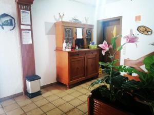 a room with a wooden cabinet and a plant at Haus Schwarzwaldblick in Hornberg