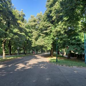 a tree lined road in a park with a street light at Sarajevo stan in Sarajevo