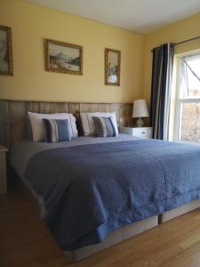een slaapkamer met een groot bed en een blauwe deken bij Beautiful one bed apartment with stunning sea view in Waterford