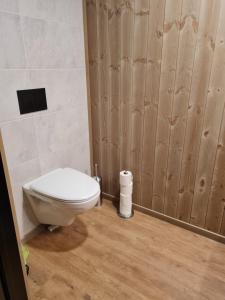 baño con aseo y pared de madera en Rorbu ved sjøen, en Bud