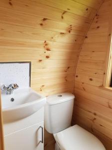 a bathroom with a white toilet and a sink at Hoilisgeir Self Catering Pod in Daliburgh