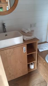 un bagno con lavandino e specchio di Tiny Gaumaise - Tiny house à Saint-leger a Saint-Léger