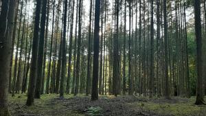 Paesaggio naturale nelle vicinanze della casa vacanze