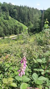 Paesaggio naturale nelle vicinanze della casa vacanze