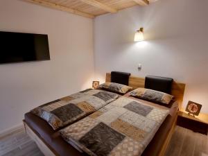 a bedroom with a bed and a flat screen tv at WellnessOase Hafenblick - a90190 in Walchum