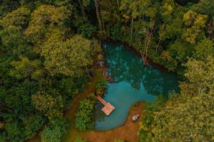 an aerial view of a river in the middle of a forest at Santuario de Ranas - Explora nuestro paraíso natural in San Lorenzo