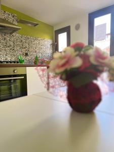 a stuffed animal sitting on the counter of a kitchen at Benvenuti al Sud B&B in Licata