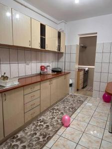 eine Küche mit einem rosa Ball auf dem Boden in der Unterkunft UrbanEscape in Onești