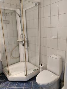 uma casa de banho com um chuveiro e um WC. em FeelHome 3 bedroom Near University em Tromsø