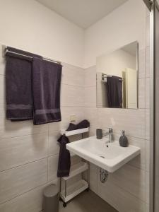 a white bathroom with a sink and a mirror at Altstadt Domizil in Pirna