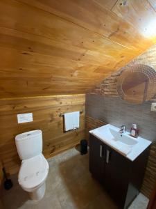 a bathroom with a white toilet and a sink at Chalet Rialeda in Oleiros