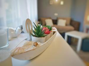 a bowl with plants in it sitting on a table at Panoráma Garden in Zalakaros +5 photos