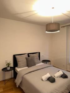 Posteľ alebo postele v izbe v ubytovaní Super appartement refait à neuf beaucoup de charme