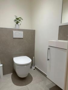 Kúpeľňa v ubytovaní Super appartement refait à neuf beaucoup de charme