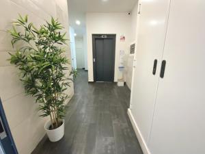 a hallway in an office with a potted plant at AVA Flats in Alicante