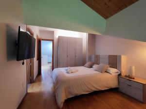 a bedroom with a large bed and a flat screen tv at Allotjaments el Pont in Camprodon