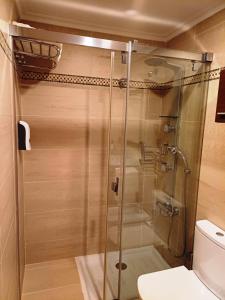 eine Glasdusche im Bad mit WC in der Unterkunft Apartamento Galería Gijón in Gijón