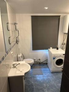 a bathroom with a toilet sink and a washing machine at Engure apartment "Big one" in Engure +8 photos