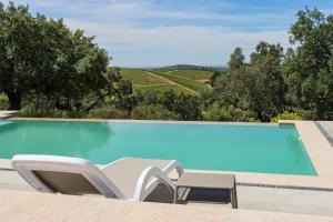 a swimming pool with chairs and a view of a vineyard at Casa do Outeiro in Navelongo