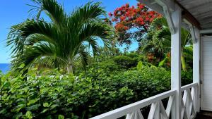 Ein Garten an der Unterkunft La Belle Vue - Grand studio vues mer et accès plages