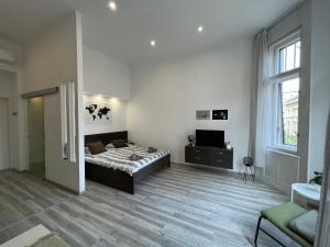 TV a/nebo společenská místnost v ubytování D58 Superior Apartments in the city center