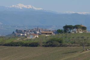 una ciudad en la cima de una colina con una montaña en Agriturismo Il Sassolino, en Ripalvella