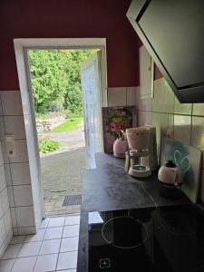 uma cozinha com um lavatório e uma porta para um quintal em Ferienwohnung 2 Am Park em Divitz