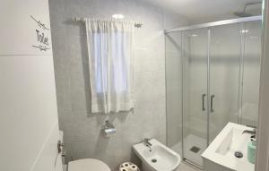 y baño con aseo, lavabo y ducha. en Luna Centro 5 habitaciones en Granada