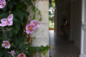 Gallery image of Domaine de l'Ermitage in Berry-Bouy +47 photos