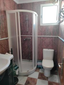 ein Bad mit einer Dusche, einem WC und einem Waschbecken in der Unterkunft Apartamento Delfín in Mojácar