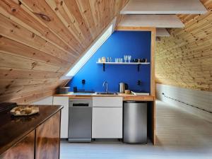 een keuken met een wastafel en een blauwe muur bij Apartament Nowiny in Gdańsk