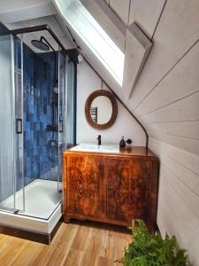 een badkamer met een wastafel en een douche bij Apartament Nowiny in Gdańsk