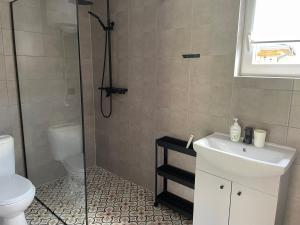 a bathroom with a shower and a sink and a toilet at Domki Rózin in Zwierzyniec +21 photos