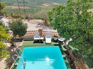 una piscina con 2 sillas y un árbol en Casa Cueva Pastor, en Fontanar