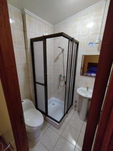 a bathroom with a shower and a toilet and a sink at Hostal Remember in Temuco