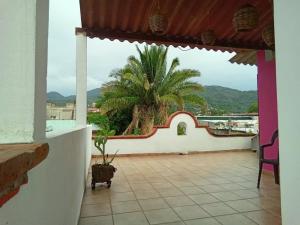 Habitación con vistas a una palmera en Colombia 147, en Puerto Vallarta