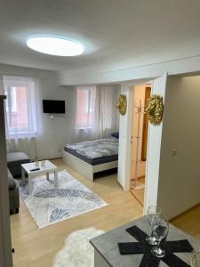 a living room with a bed and a room with a table at Milena Apartment in Graz