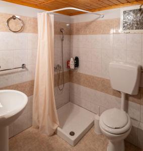 a bathroom with a shower and a toilet and a sink at Monodendri Vintage House in Monodendri